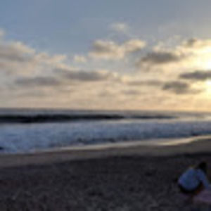 Meet your Posher, Owen